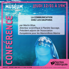 Conférence : La communication chez les dauphins