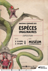 Exposition Anatomie comparées des espèces imaginaires exposition