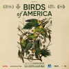 Avant-première du film Birds of America