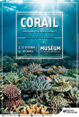 Inauguration de l'exposition "Corail"