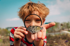 Ateliers 7-10 ans : L'effet "papillons"