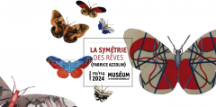 Soirée d'inauguration de l'exposition "La symétrie des rêves"