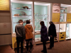 Visites guidées de l'exposition Trésors & biodiversité