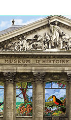 frise_ Museum_140X235.jpg