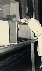 vivarium.jpg