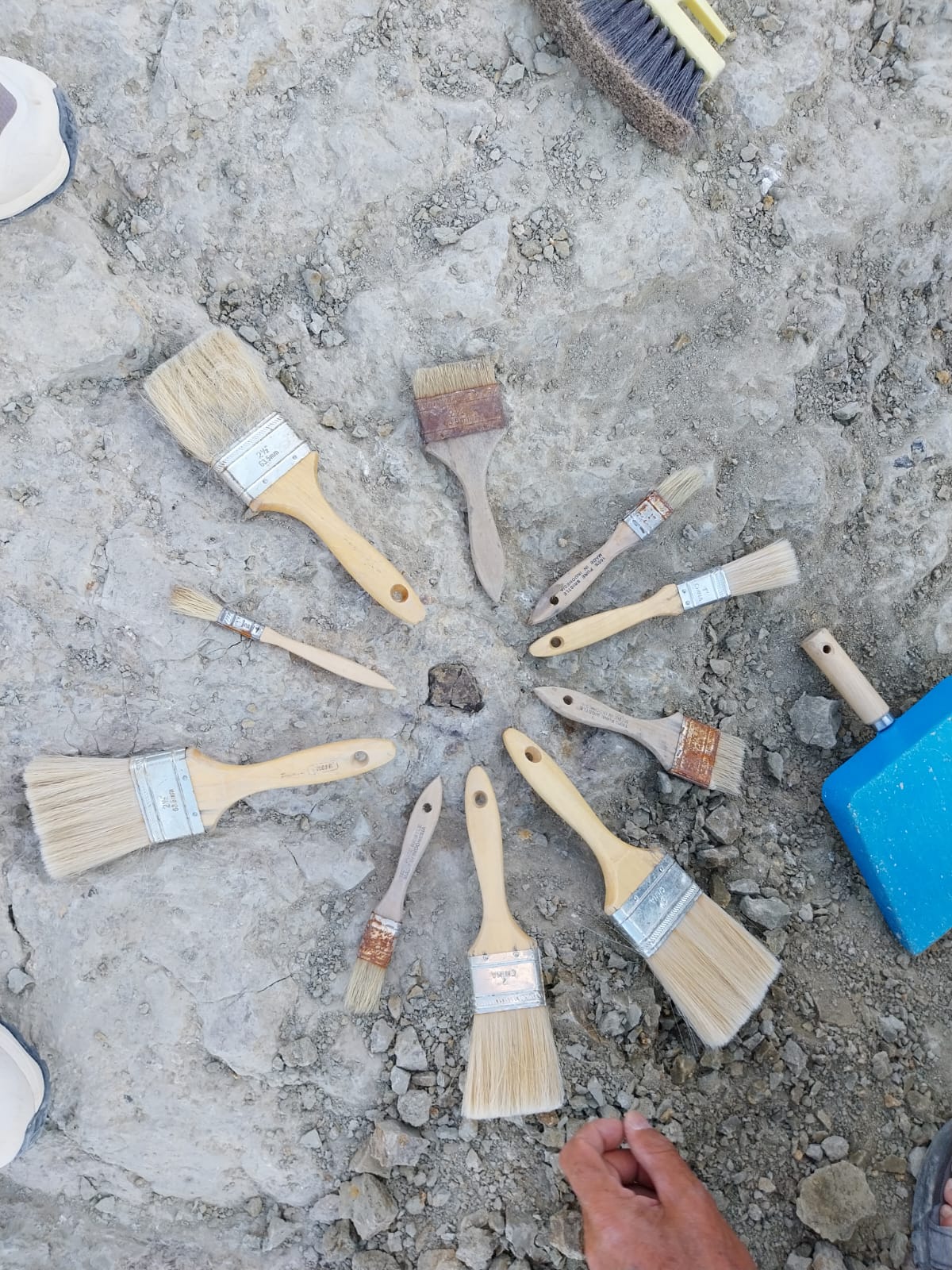 2025-07-18_Maxime's discovery après un bon coup de pinceau.jpeg