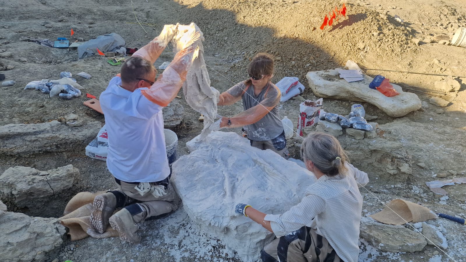 2025-08-06_Platrage des derniers champignons de la team July (2).jpeg