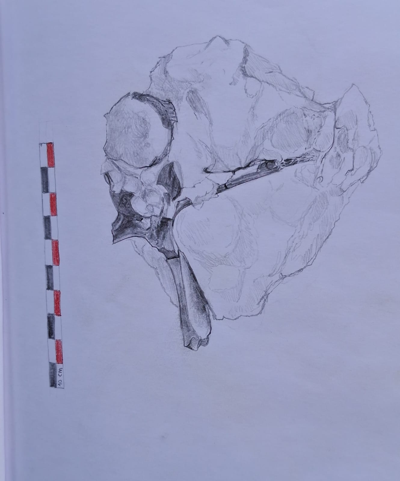 2025-08-10_croquis (3).jpeg