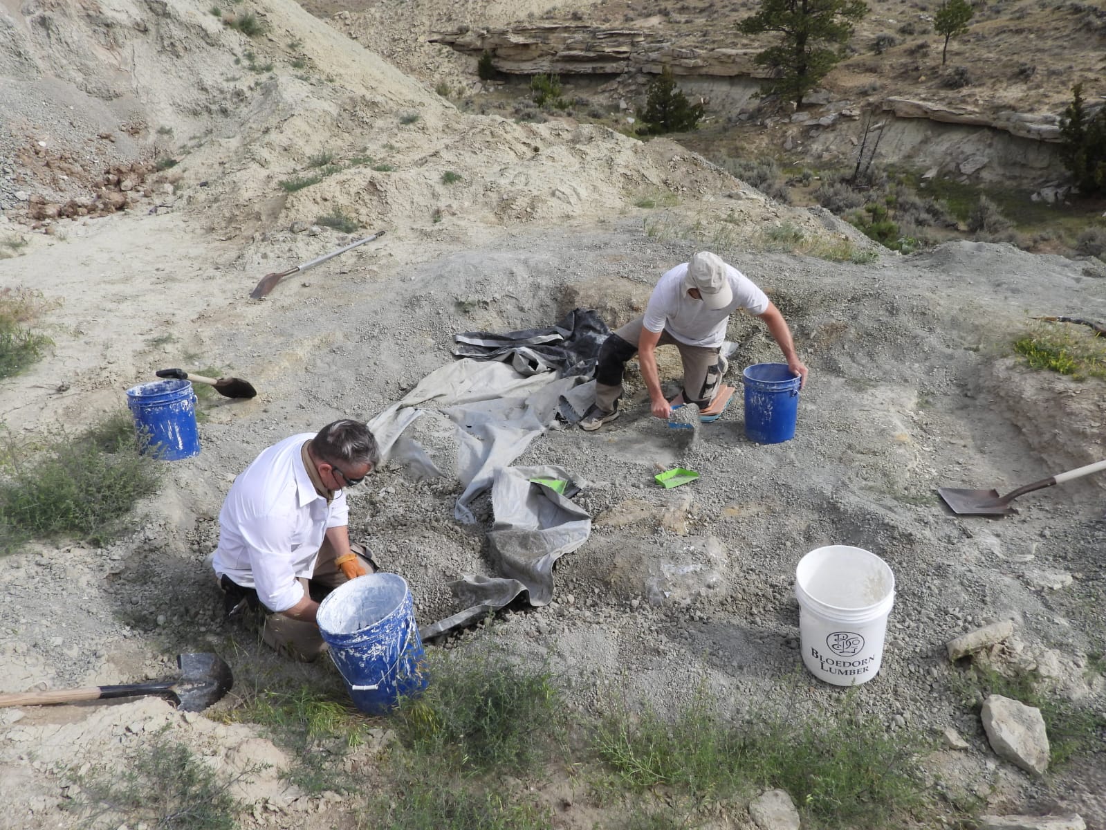 2026-07-17_Wyoming (14).jpeg
