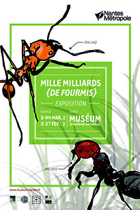 AfficheHt300_205x307.jpg