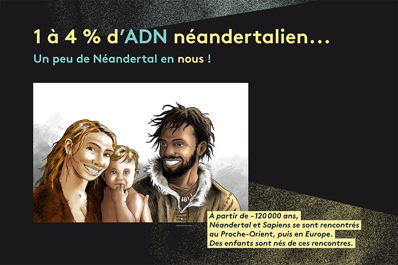 Neandertal_HorsLesMurs_11.jpg (Maquette_v02.indd)