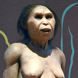 ©MuseumNantes_Homo_floresiensis_2573.jpg
