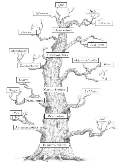 arbrephylogenetique.jpg