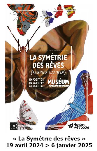 symetriedesreves