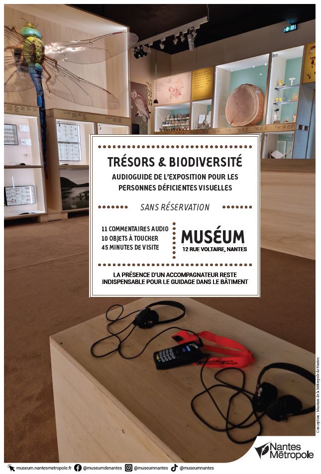audioguide_museum.JPG