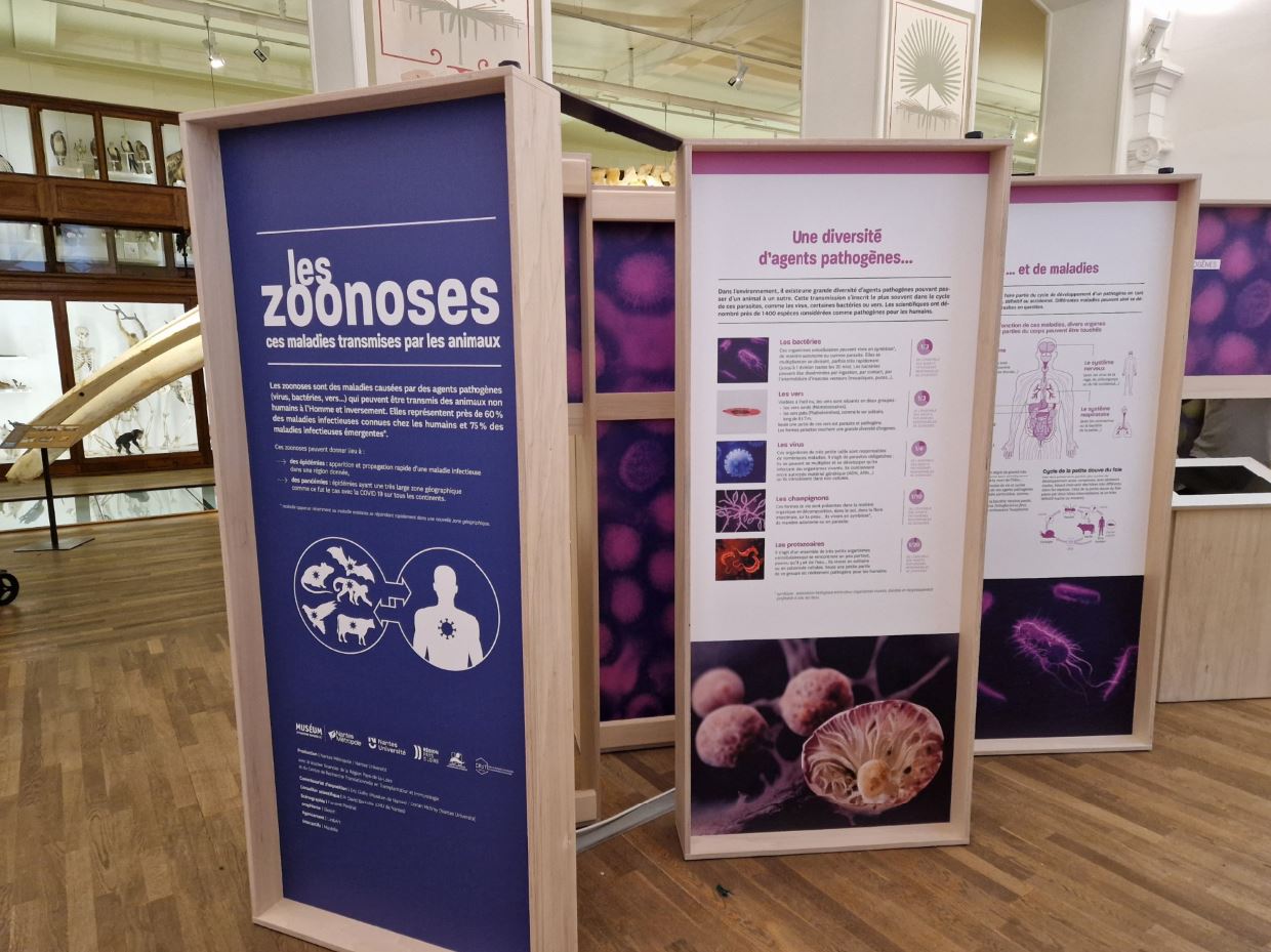 zoonoses1.JPG