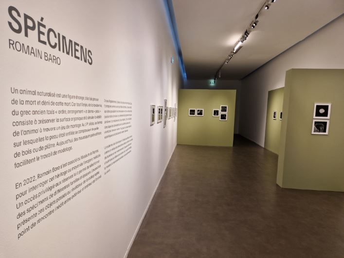 specimensphoto1.JPG