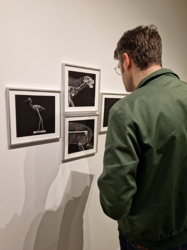 specimensphoto2.JPG
