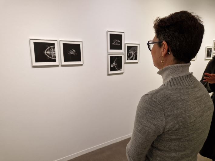 specimensphoto4.JPG