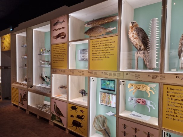 19_Exposition_TresorsEtBiodiversiteBD.jpg