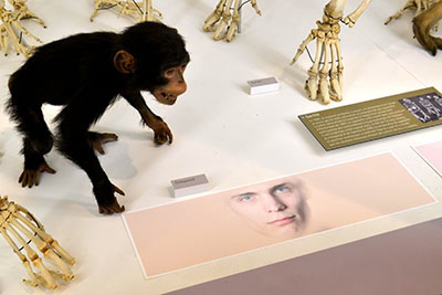 20190528_09_web.jpg