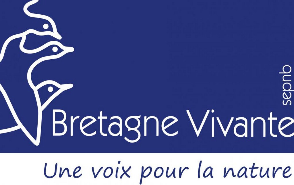 logo-bv2012signbleue (Copier).jpg