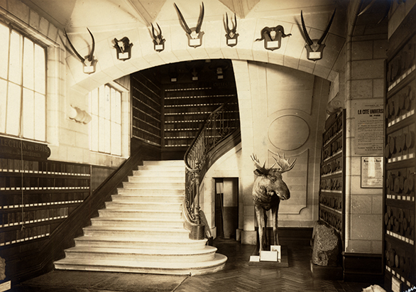 escalier_bois_1924.jpg