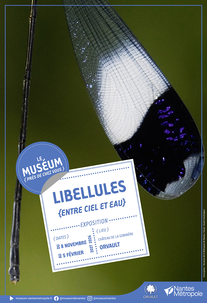 Libellules_Orvault_Affiche.jpg
