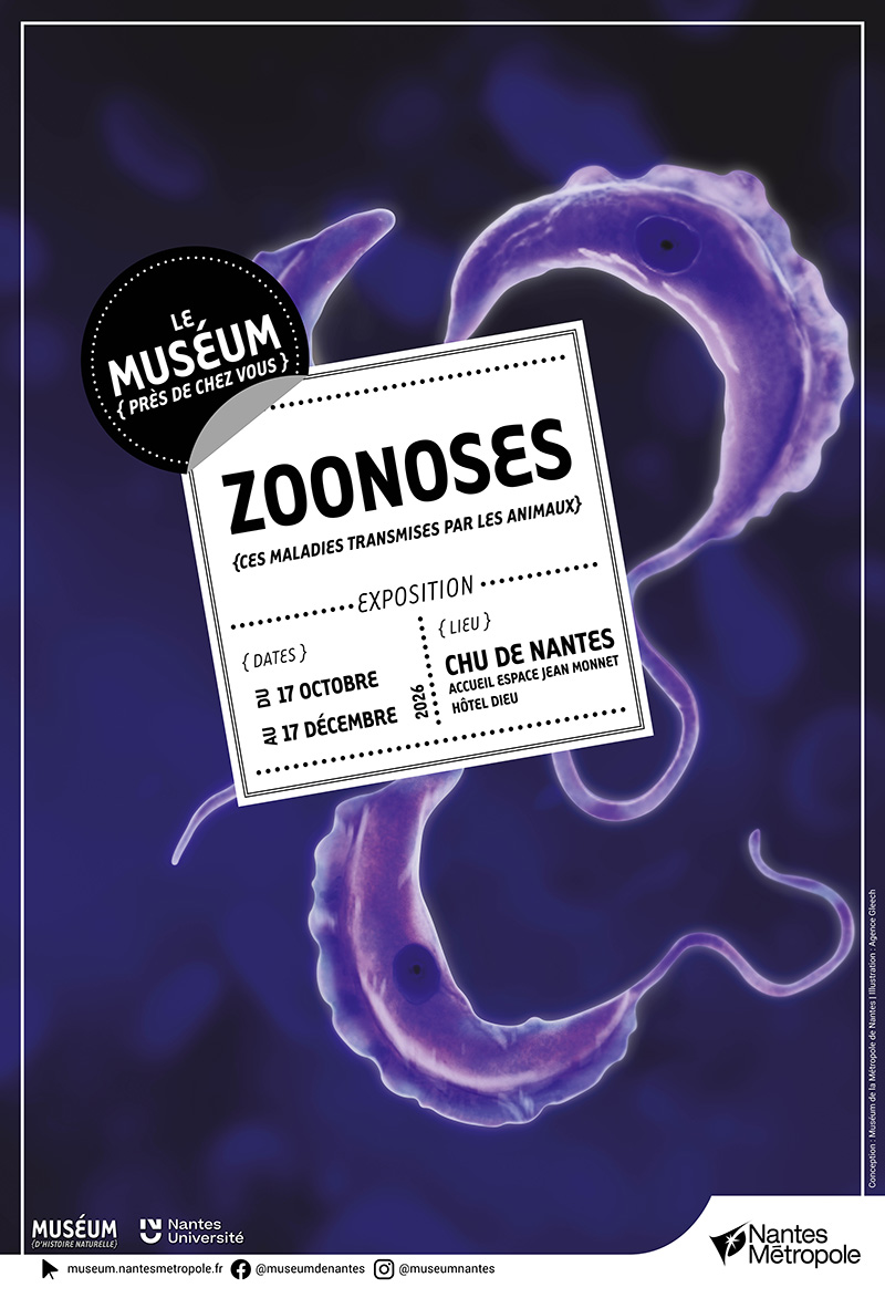 Zoonoses_Nantes_CHU.jpg