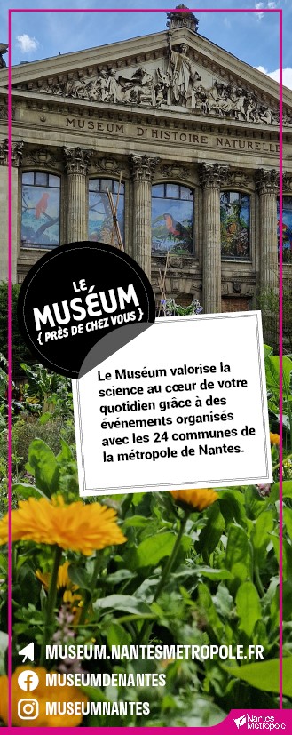 rollupmuseumpresdechezvous.jpg